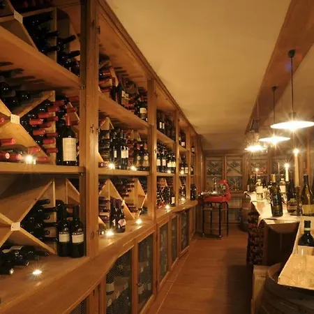 酒店 Grifone Dolomiti 4*