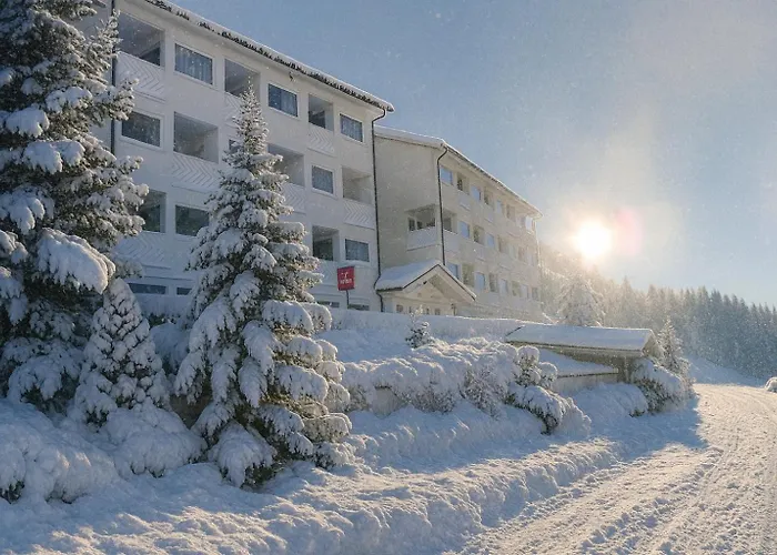 Hotel Grifone Dolomiti
