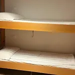 Grifone Dolomiti